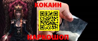 стаф Шелехов