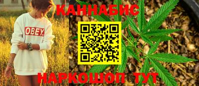 стаф Шелехов