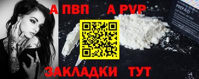 стаф Шелехов
