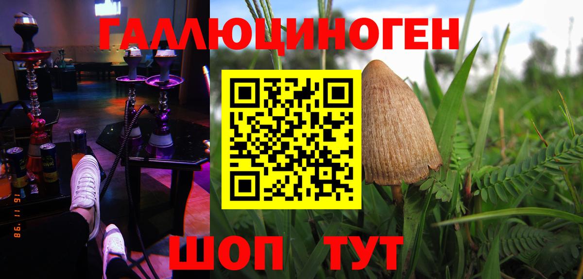 Псилоцибиновые грибы ЛСД Асино